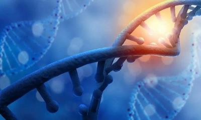 閔行區(qū)政府與美德納(中國)生物科技簽訂投資協(xié)議