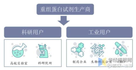 重組蛋白科研試劑的國內(nèi)市場(chǎng)分析
